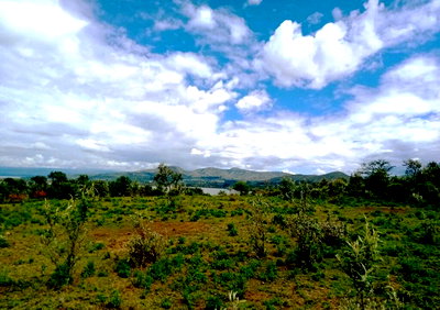 1.5-Acre Garden Plot with Parking - Naivasha