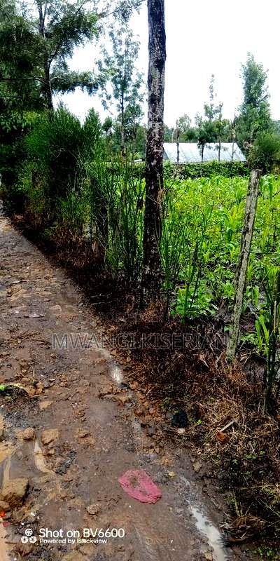 100by100 for in Kiserian - Image 10