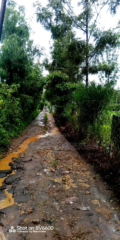 100by100 for in Kiserian - Image 11