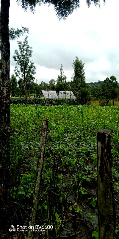 100by100 for in Kiserian - Image 12