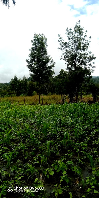 100by100 for in Kiserian - Image 8