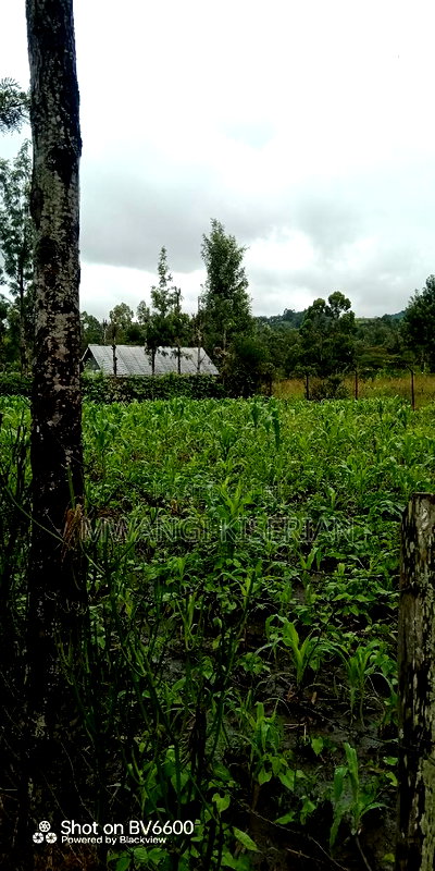 100by100 for in Kiserian - Image 9