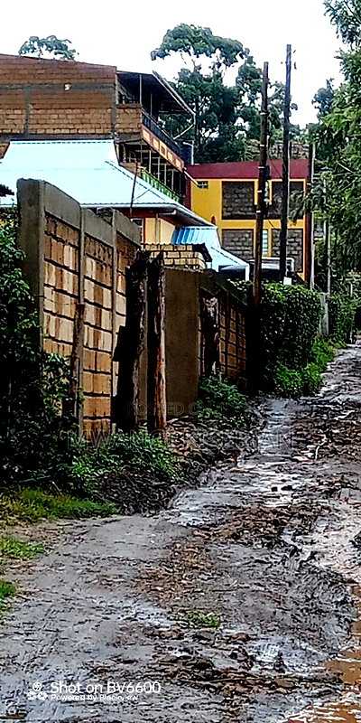 100by100 for in Kiserian - Image 3