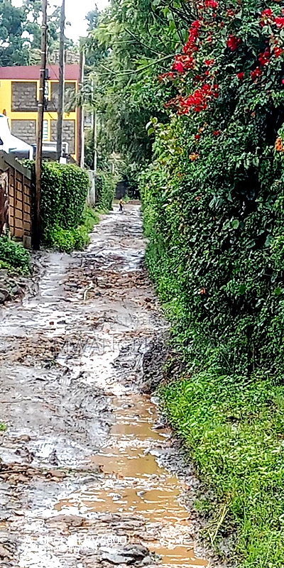 100by100 for in Kiserian - Image 2