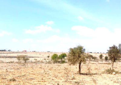 1/8 Acre Plot for KSh 600K