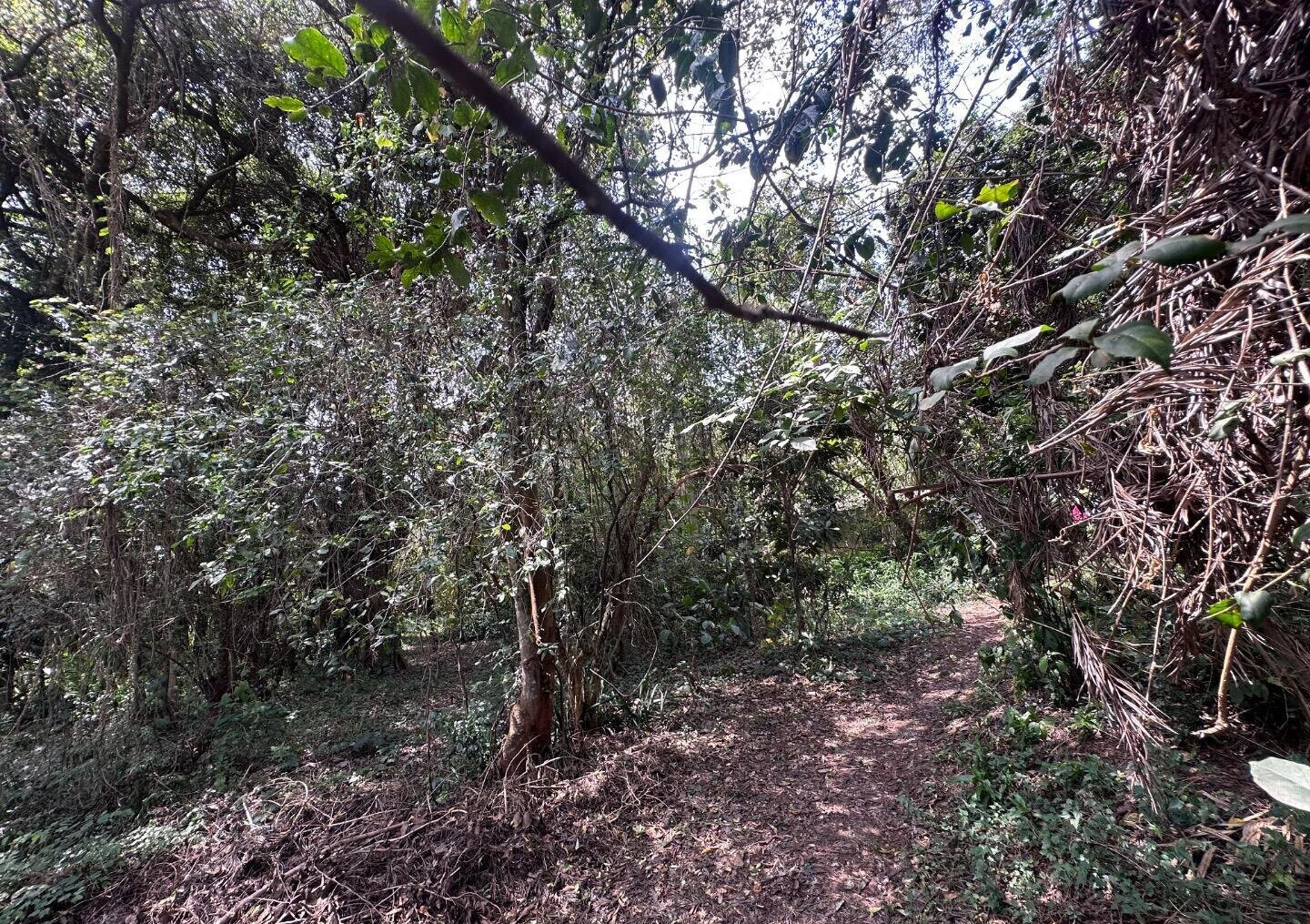 6-Acre Karen Land at KSh 85M