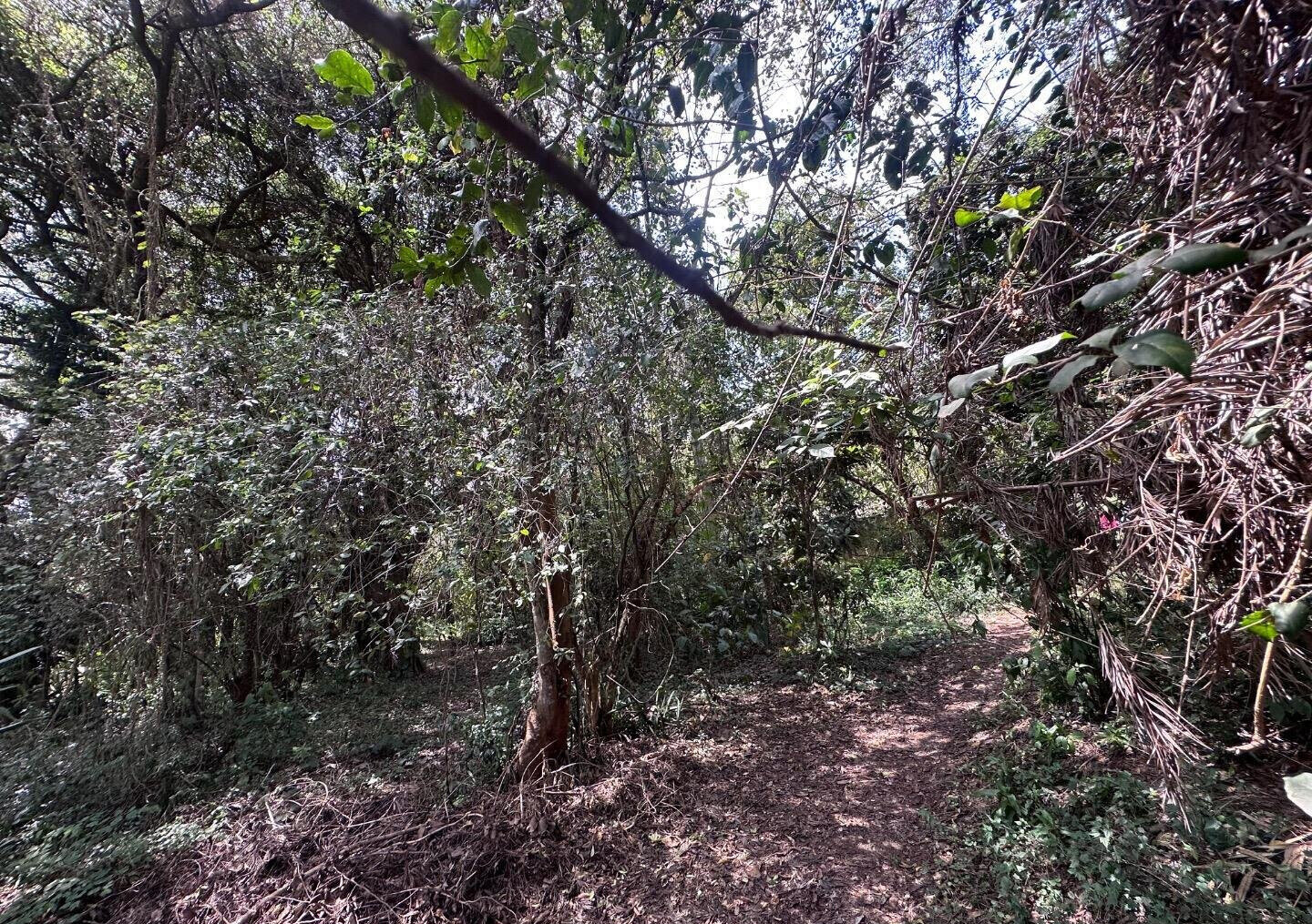 6-Acre Karen Land at KSh 85M