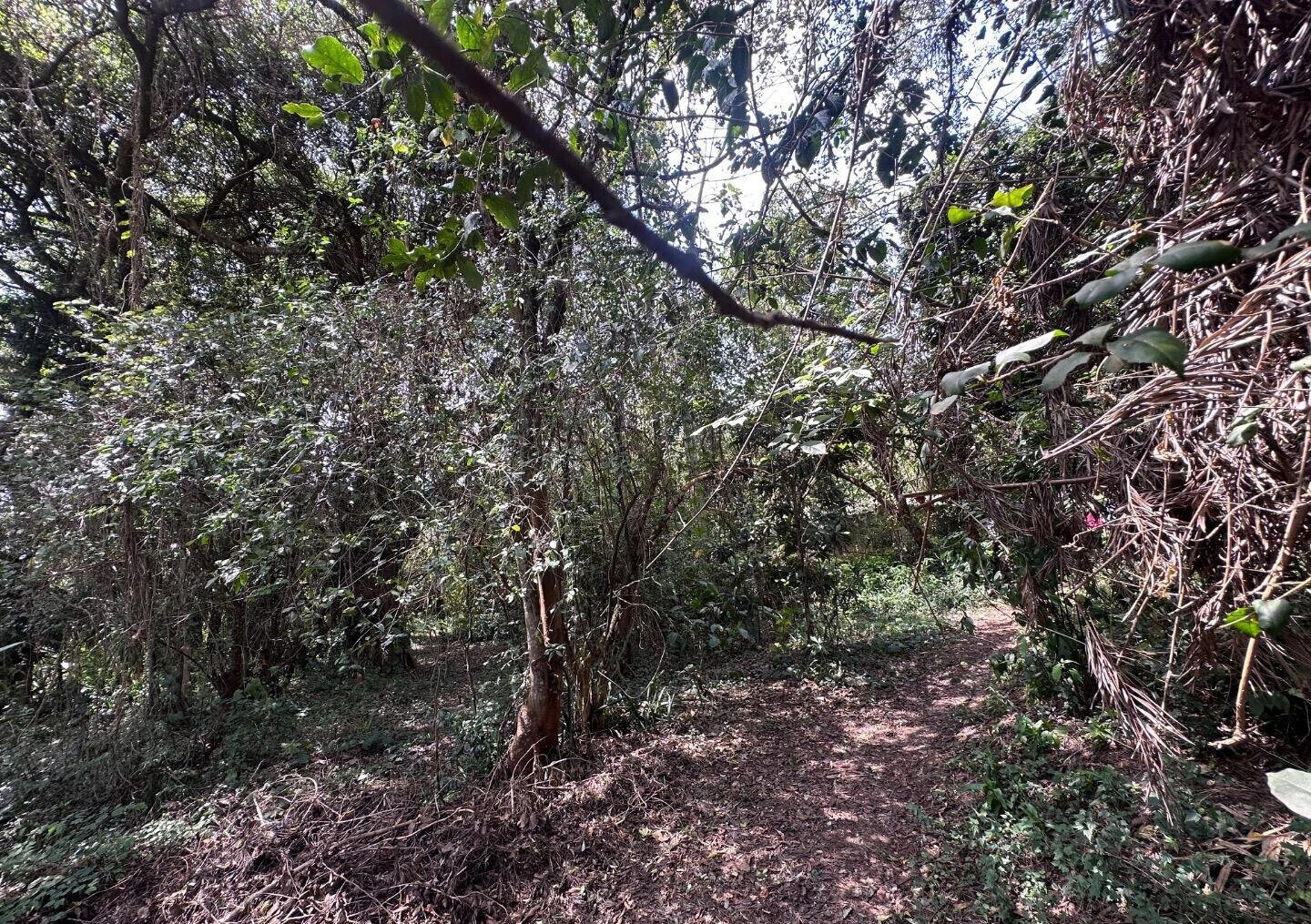 6-Acre Karen Land at KSh 85M