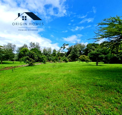 Pet Friendly Quarter Acre in Ngong