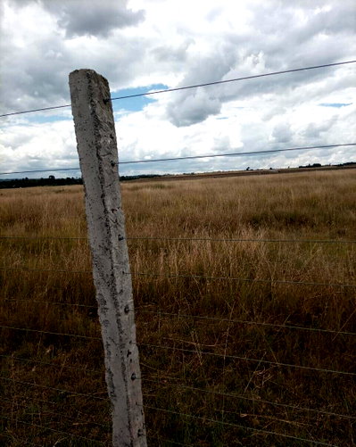 20-Acre Farm for KSh 14M