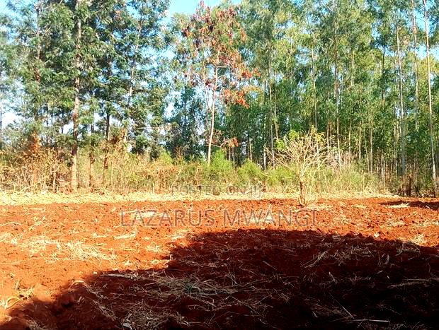 0.15 Hac Land Along Near Sagana Dual-Carriage Wachoro