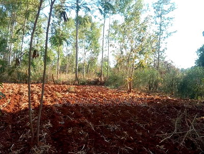 0.15 Hac Land Along Near Sagana Dual-Carriage Wachoro - Image 10