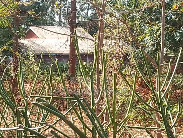 0.15 Hac Land Along Near Sagana Dual-Carriage Wachoro