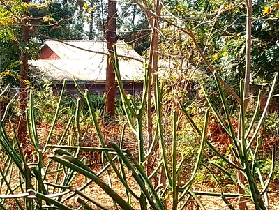 0.15 Hac Land Along Near Sagana Dual-Carriage Wachoro - Image 12