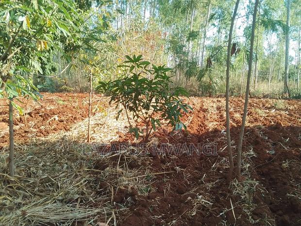 0.15 Hac Land Along Near Sagana Dual-Carriage Wachoro