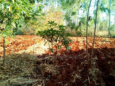 0.15 Hac Land Along Near Sagana Dual-Carriage Wachoro - Image 8