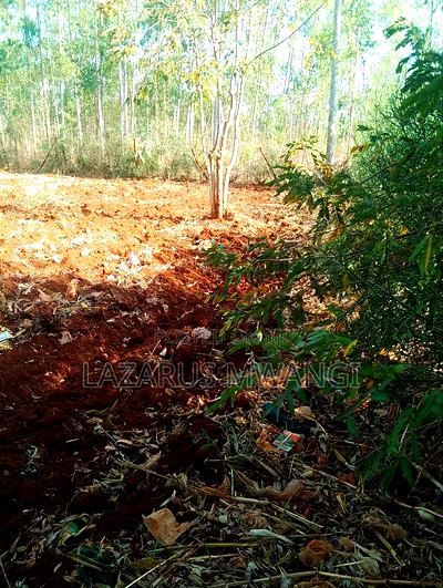 0.15 Hac Land Along Near Sagana Dual-Carriage Wachoro - Image 15