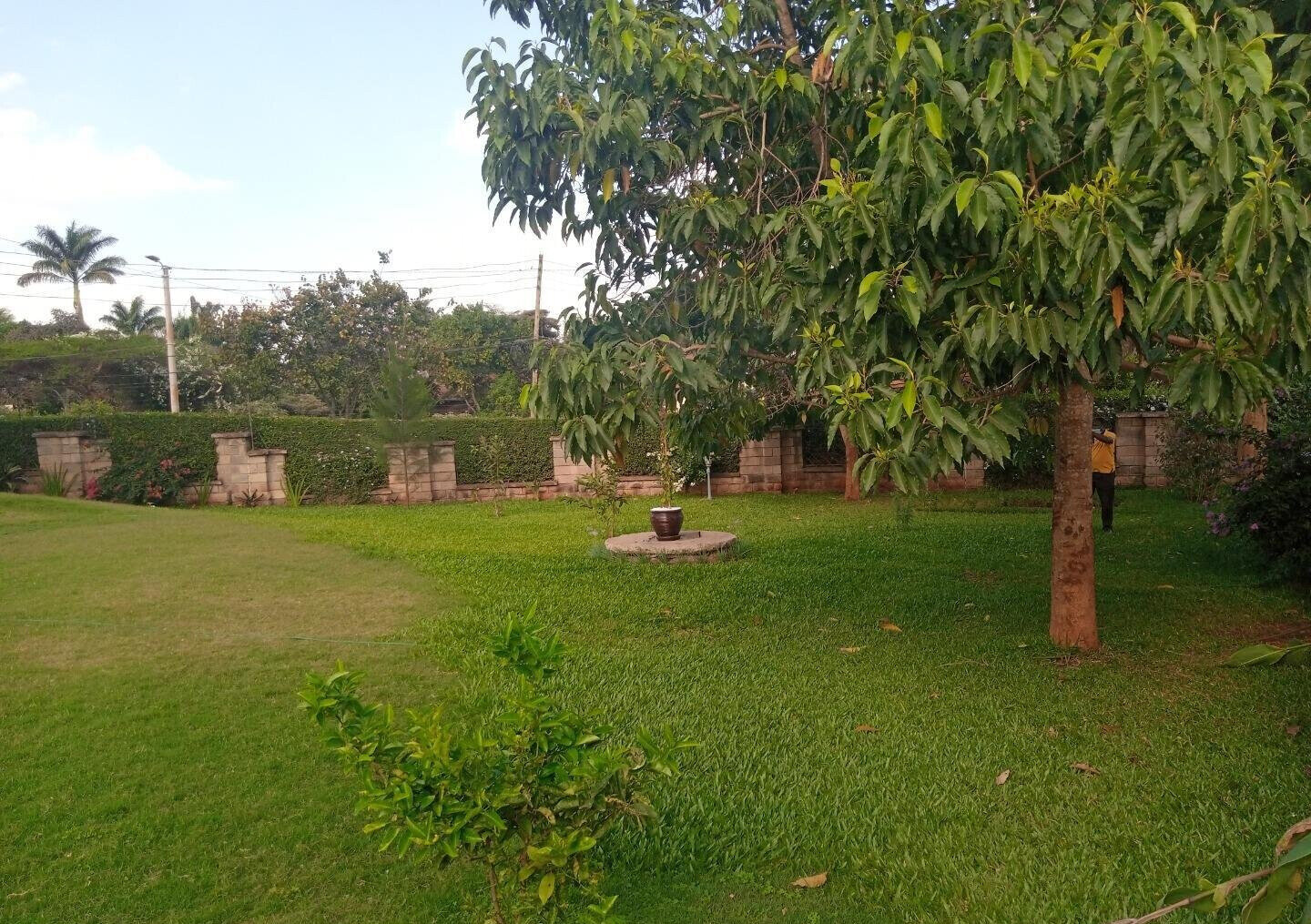 50x100 Plot 5BR Haven