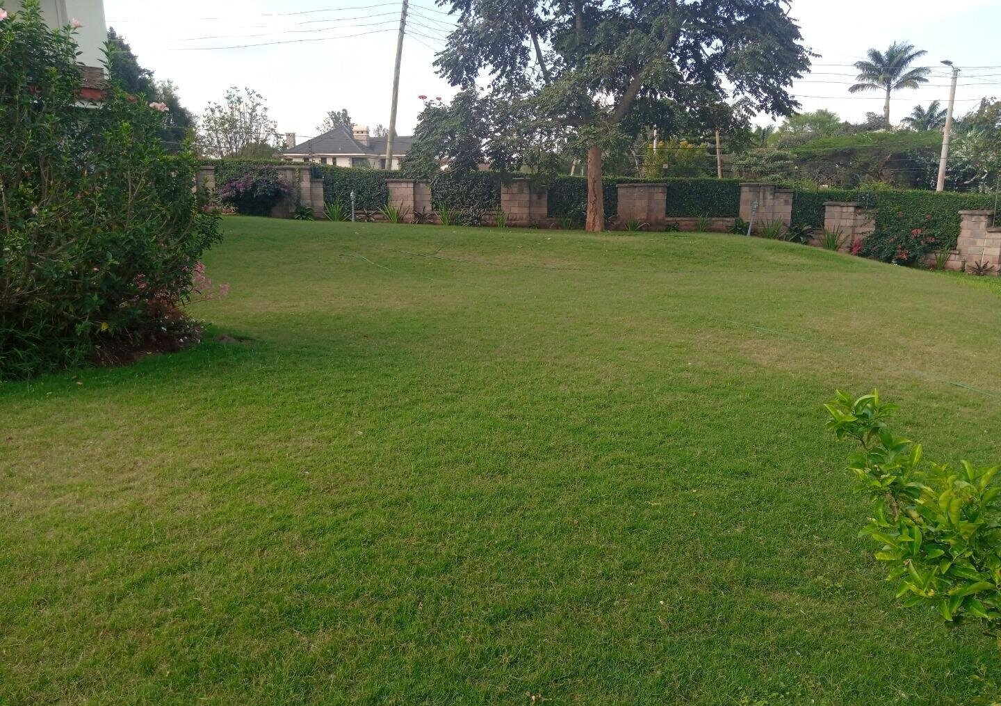 50x100 Plot 5BR Haven