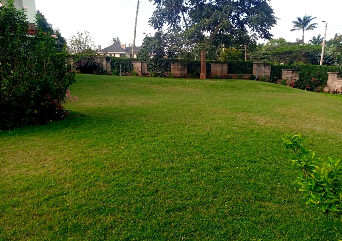 50x100 Plot 5BR Haven