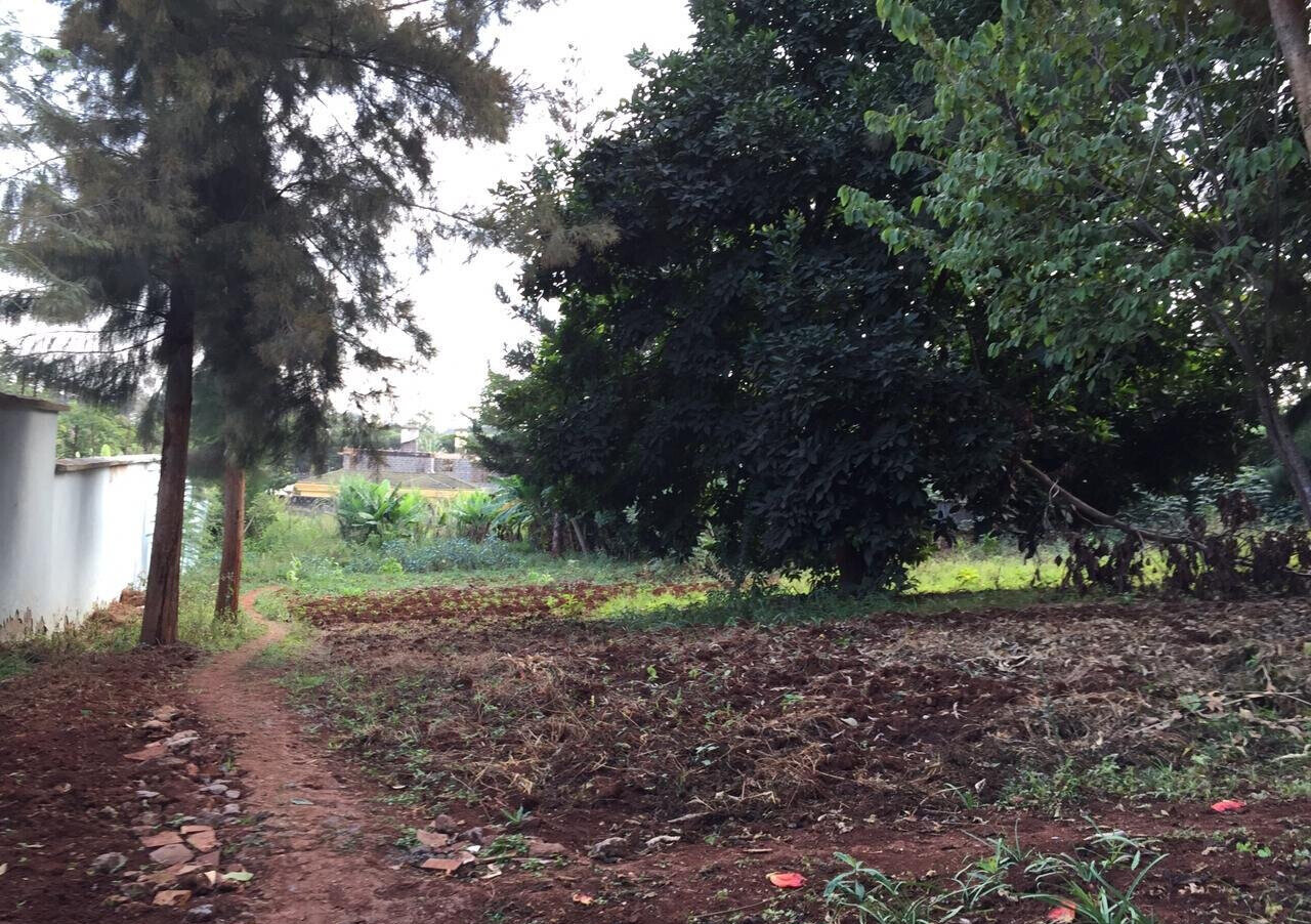 Serviced Half Acre in Runda
