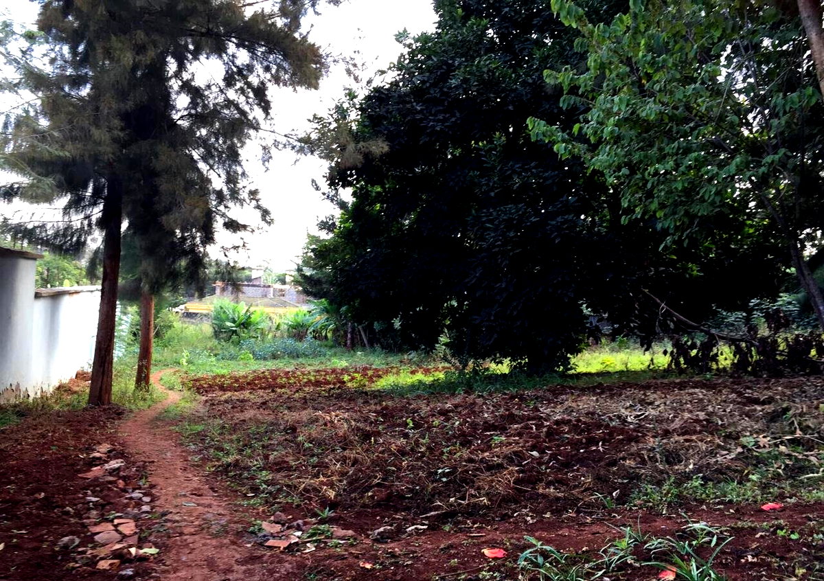 Serviced Half Acre in Runda