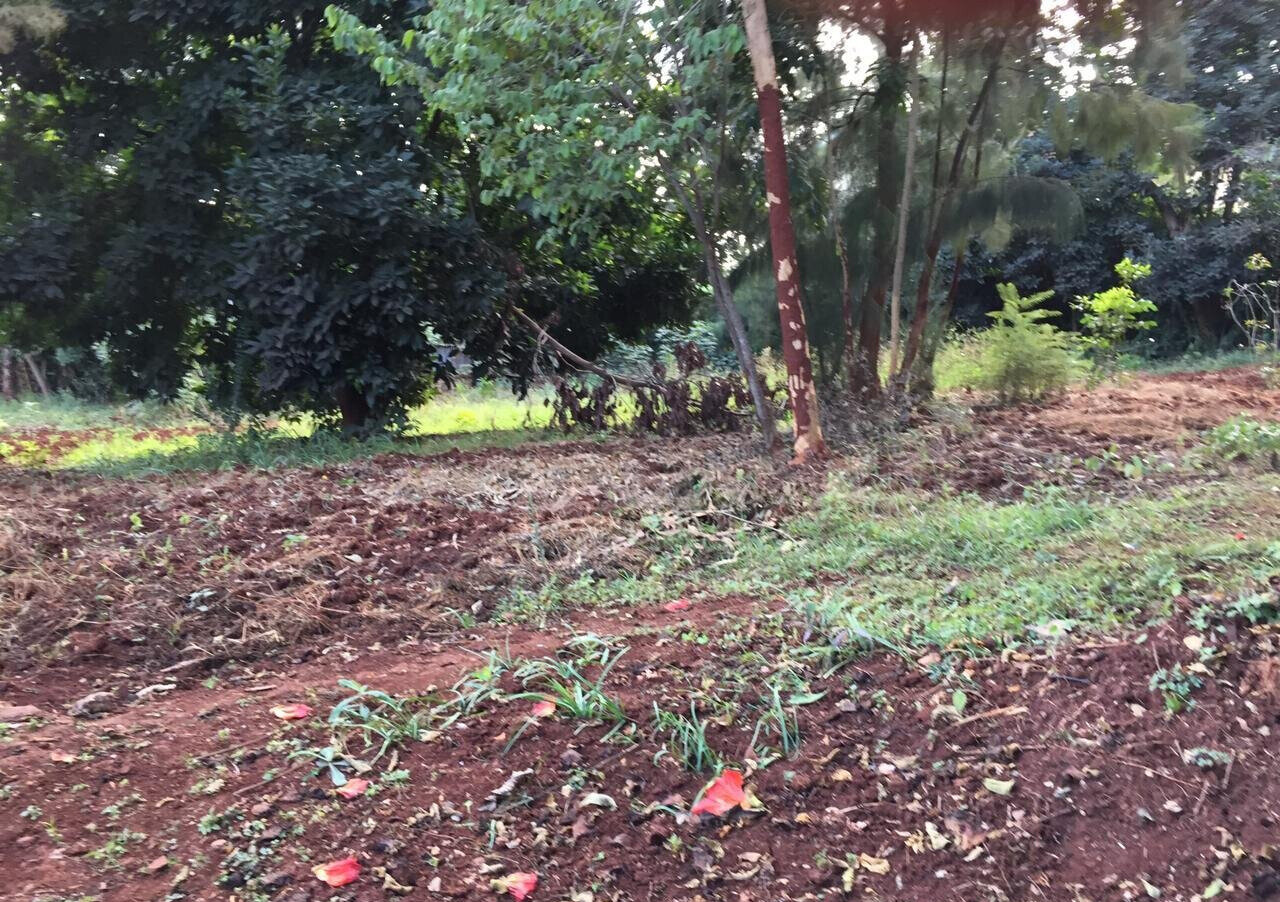 Serviced Half Acre in Runda
