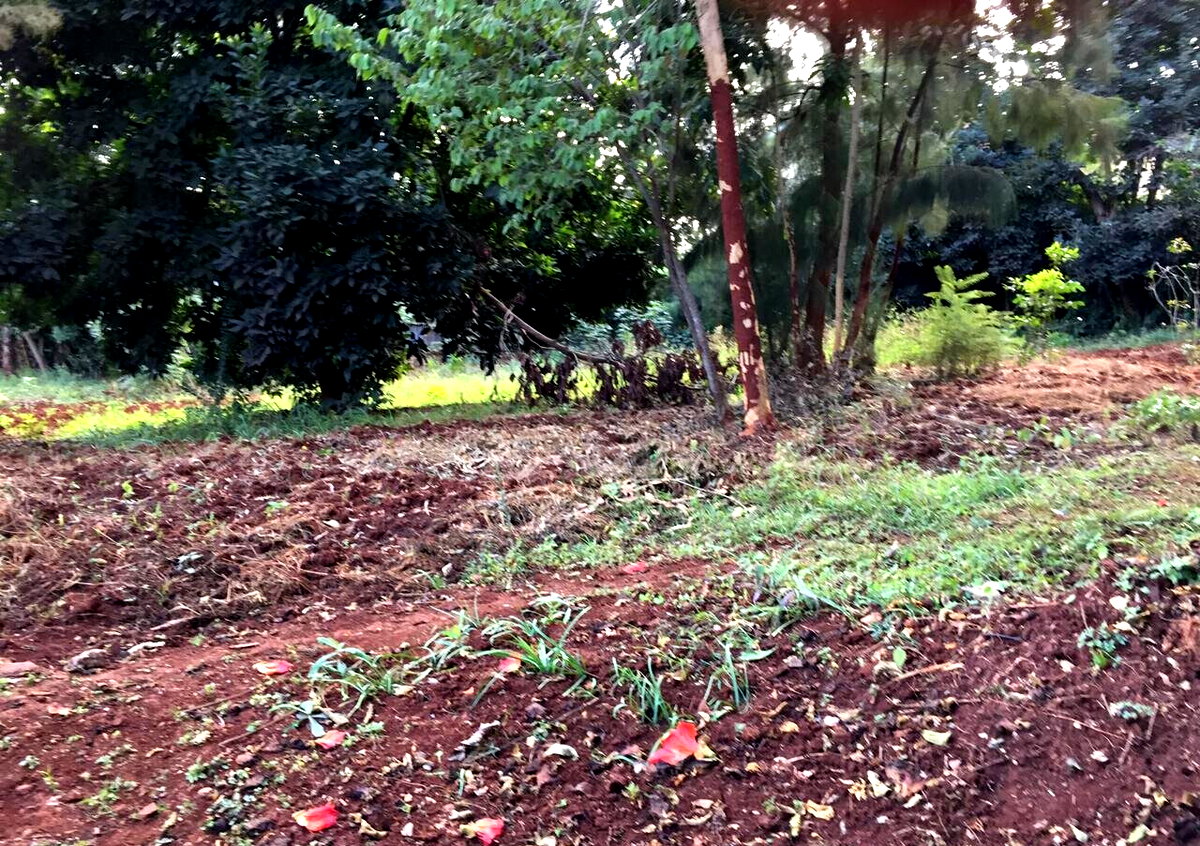 Serviced Half Acre in Runda