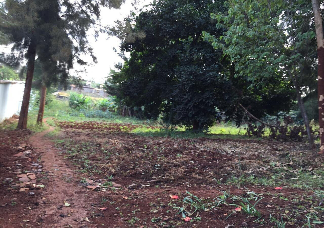 Serviced Half Acre in Runda