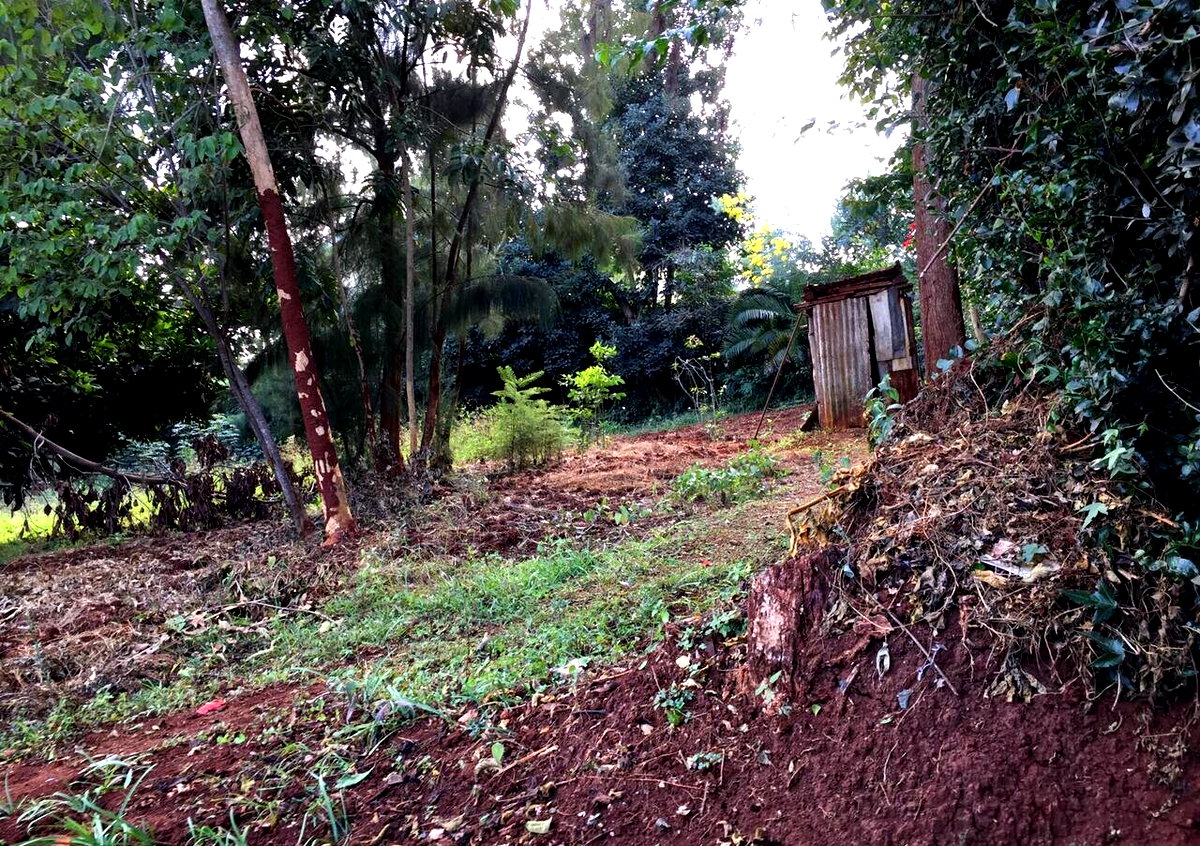 Serviced Half Acre in Runda