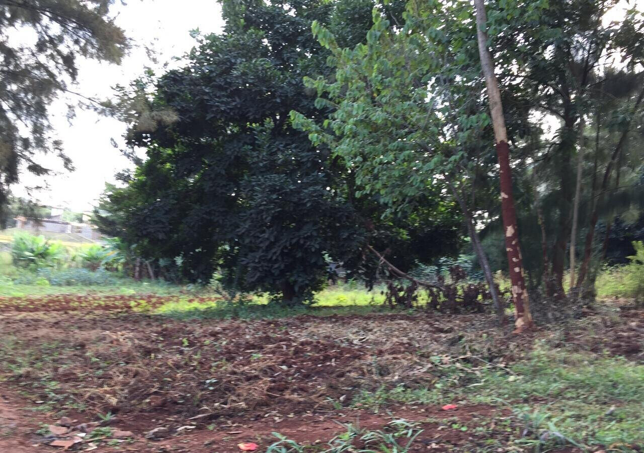 Serviced Half Acre in Runda