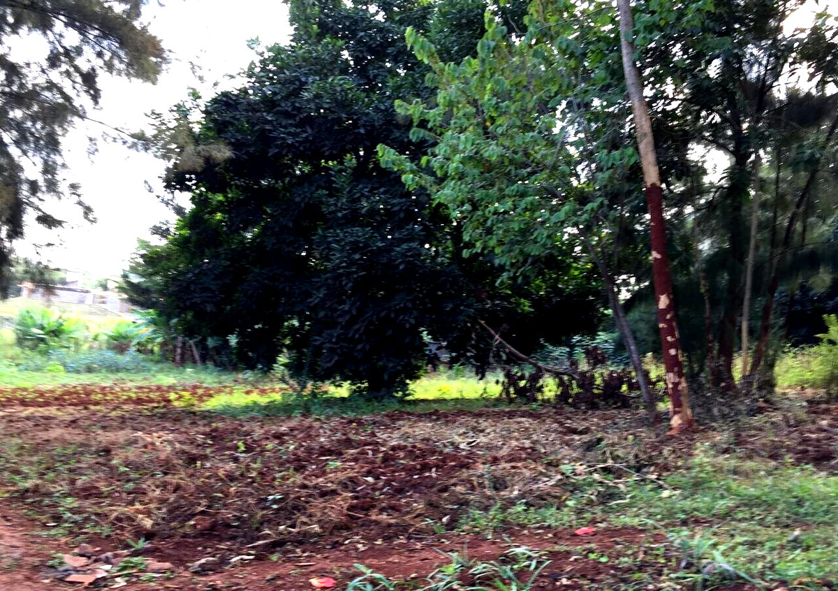 Serviced Half Acre in Runda