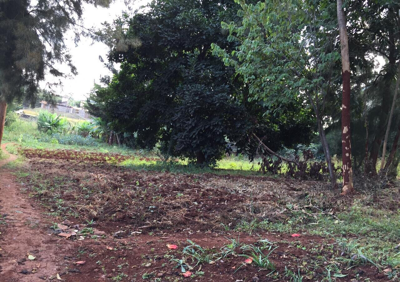 Serviced Half Acre in Runda