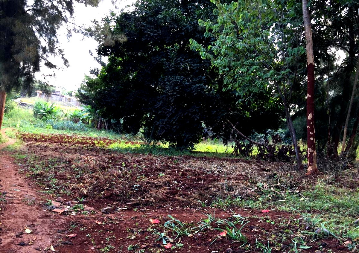 Serviced Half Acre in Runda