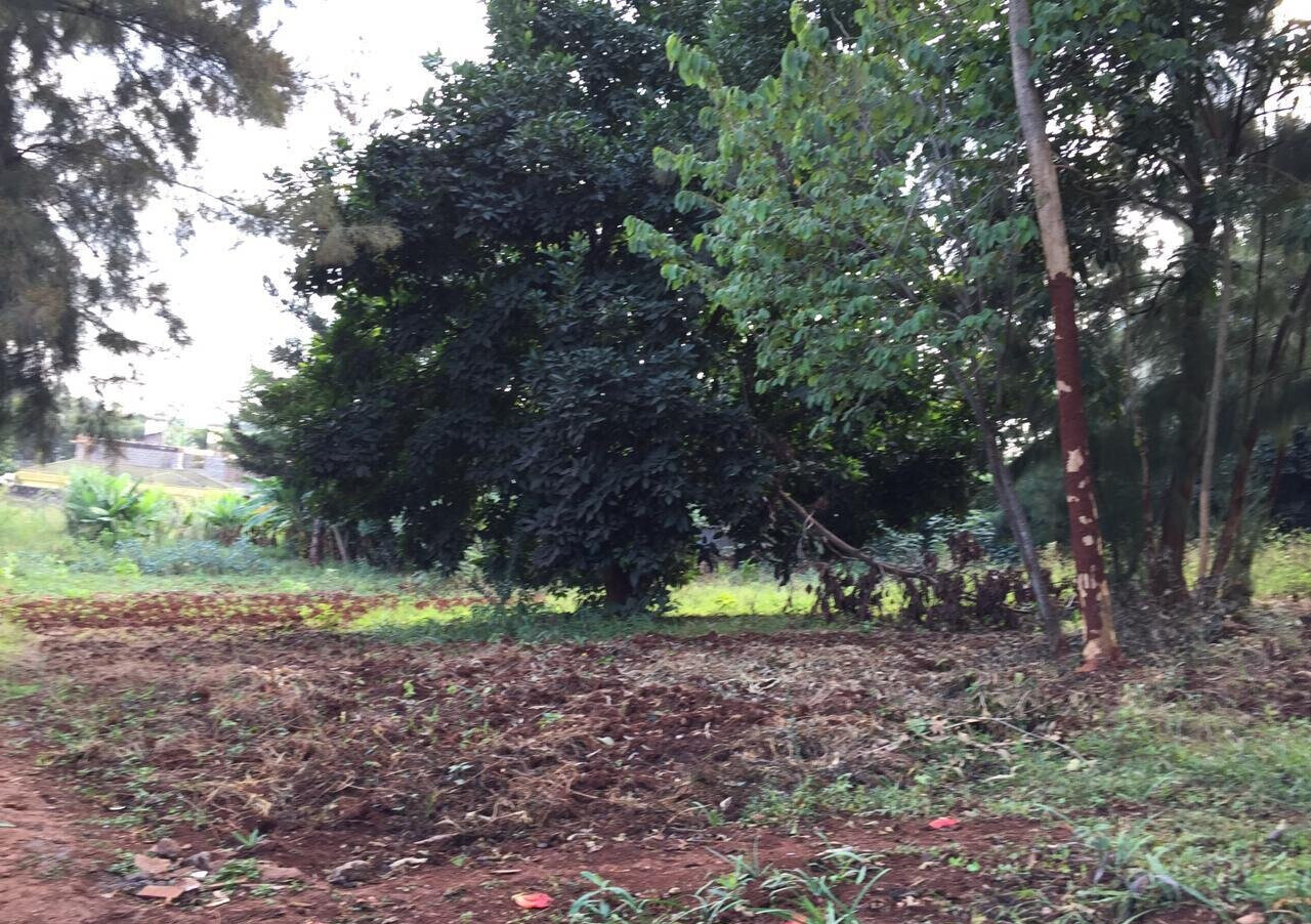 Serviced Half Acre in Runda