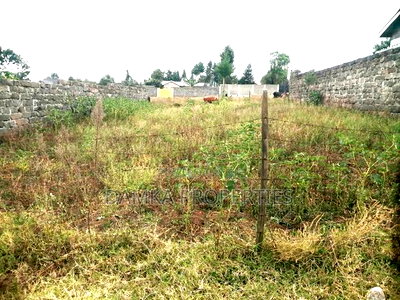 50*100 Plot for Sale 500mts From Moi Forces Lanet - Image 3