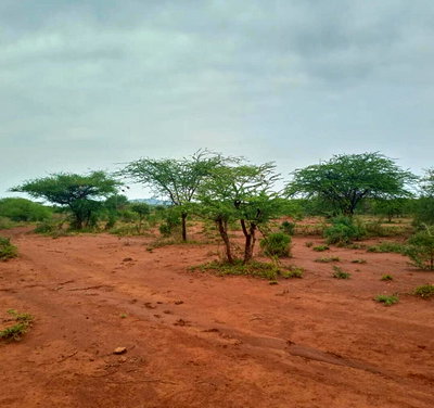 1 Acre Plot for KSh 13M