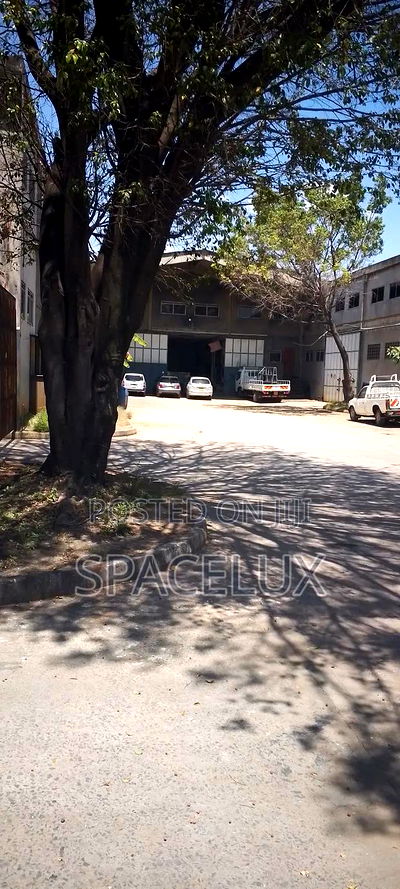 3 Acres With 5 Go Downs 10000sqft Each - Image 1