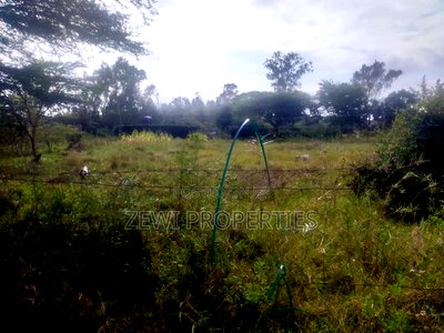 1/2 Acre Kisembe Road - Image 5