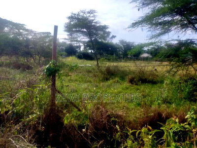 1/2 Acre Kisembe Road - Image 6