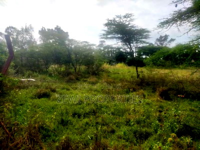 1/2 Acre Kisembe Road - Image 7
