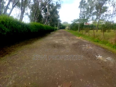 1/2 Acre Kisembe Road - Image 3