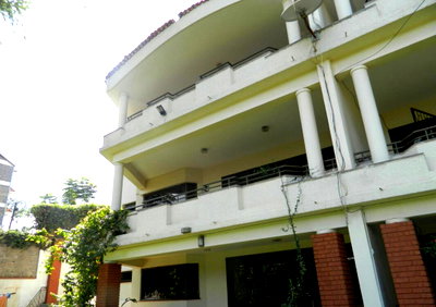 Quarter Acre Commercial Gem with Garden