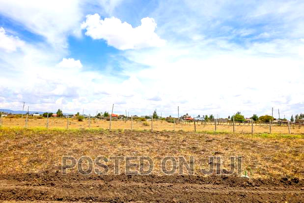 550k Prime Plot.