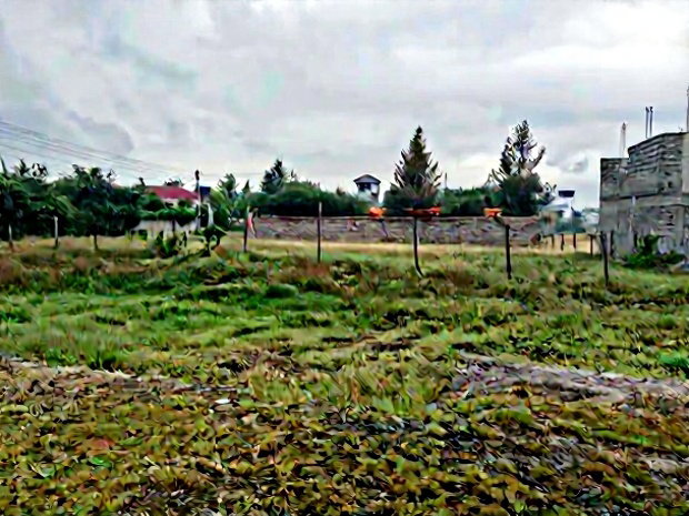 1/8 Acre Utawala,Githunguri Commercial Plot