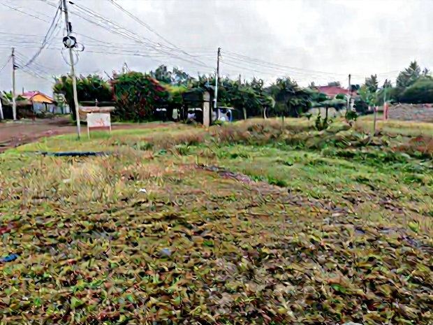 1/8 Acre Utawala,Githunguri Commercial Plot