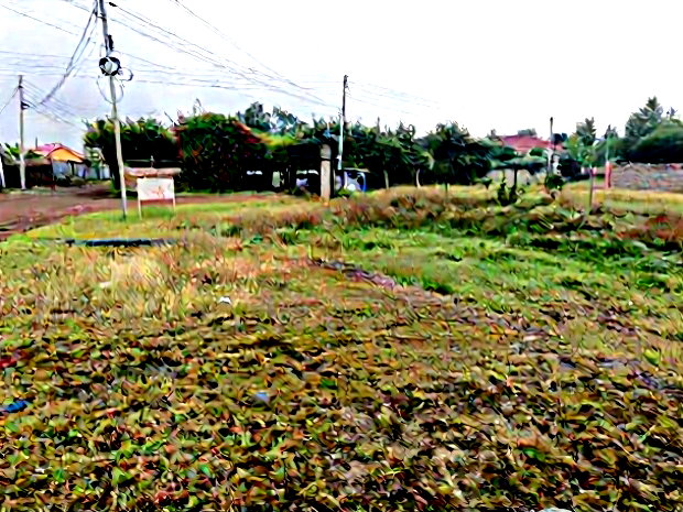 1/8 Acre Utawala,Githunguri Commercial Plot