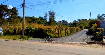 Half Acre Garden Plot with Borehole - KSh 45M
