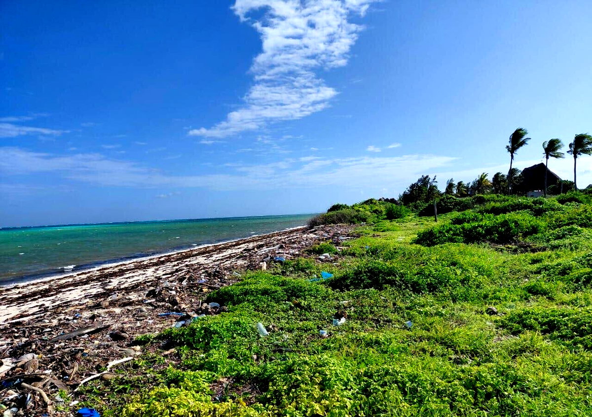 8-Acre Watamu Gem for KSh 35M