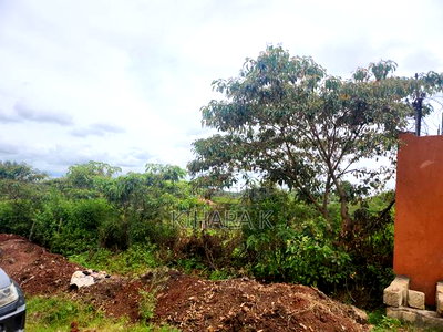 One Acre in Rimpa Area - Image 1